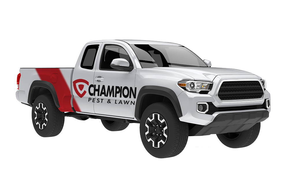 Silver Pickup Truck Isolated - Champion Pest and Lawn Solutions